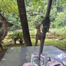 이자카야아홉시 | 타이베이 2일차 고고투어 2편.. 스펀폭포와 지우펀을 다녀오다 ㄷㄷ신기방기