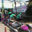 온양2동 중앙로 티스토리