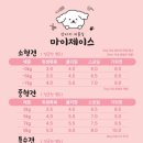 마이제이스 이미지