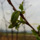 태환농장 이미지