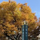 사주명리학과 생활역학 | 대학로 사주타로 쪽집게 사주타로에서 심층 디테일 사주, 타로 연애운, 육효점까지 보고 온 후기