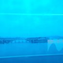 한마음  행정사사무소 이미지