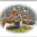 백석1리 이미지