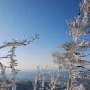 상록수주유소(주) 이미지