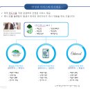 그리니스 이미지