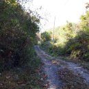 경기목장 이미지