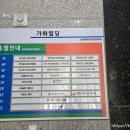 용인대 비전태권도장 이미지