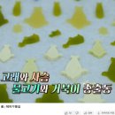 진가다감 이미지