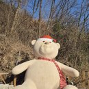 카디라운지 이미지