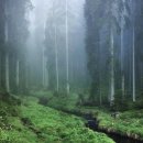 바바리아 이미지