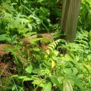 펜션하바별시 이미지