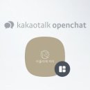 리리플리 이미지