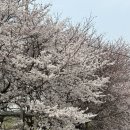주)미리내힐빙클럽