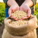 정담은집밥 이미지