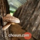 이성재농장 이미지