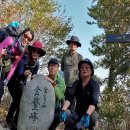 여수연안여객터미널 이미지