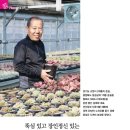 김옥태 농장 이미지