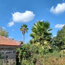 레드부동산공인중개사사무소 이미지