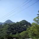 물내치기 이미지