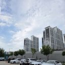 셀린약국