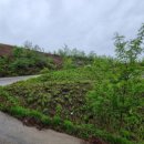 수원-1643 이미지