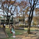 11월 ＜가을을 만나러가요 - 숲 속 놀이터(동천 자연 식물원)-짚라인 타기*자유놀이 및 산책＞ 이미지
