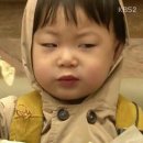 써니컵케이크