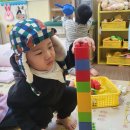 꼬꼬망 이미지