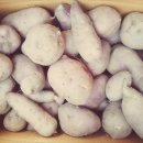 서준코퍼레이션 이미지