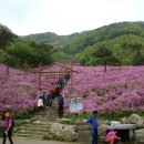 아영면 오산마을 이미지