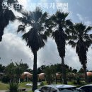 안녕감귤 제주독채펜션 이미지