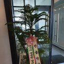 타임빌 | 기업도시 타임빌 평판조명 시공후기 [충주조명][충주조명공사][제천조명][괴산조명][음성조명][사무실...