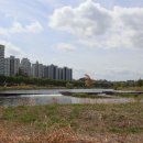 완산-19 이미지