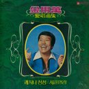 비 내리는 판문점 / 김용만 (1979) 이미지