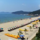 전남 55 전남인터넷신문