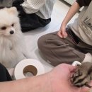 엘약국 | "지성이가 부산에 강림하셨다." 부산 서면에서 논 기록