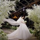 유나호텔 | 대구본식영상 후회없이 업체 고르는 팁(feat 유나필름 후기)