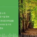 고성잔디캠핑장 이미지