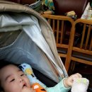 상남동184 이미지