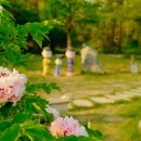 대성병원 이미지