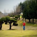 아트피아 골프클럽 이미지