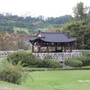 김경승 묘 티스토리