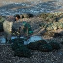 비토해양낚시공원 이미지