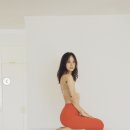 아난다요가원 OSEN