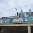 팔달대교 야경 이미지