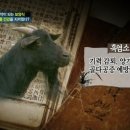 산내들 흑염소 이미지