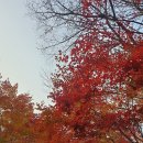 (주)샬롬환경 이미지