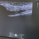 연세수가정의학과의원 이미지