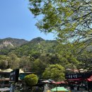 4월 등산 충청도 계룡산 동학사 &gt; 관음봉 초보 코스 추천 주차 요금 김밥 스탬프 위치