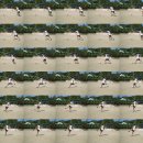 신원초교 이미지